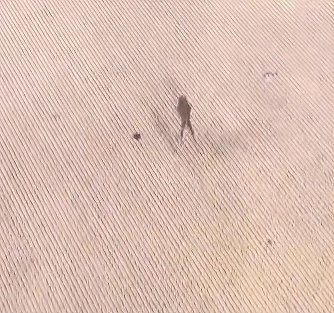 印度羽毛球公开赛考验选手适应能力 极端气候成赛事最大挑战